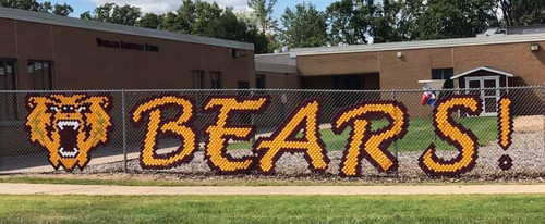 BEARS fence project